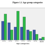 Figure 1.1 Age group categories