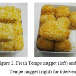 Figure 2. Fresh Tempe nugget (left) and deep-fried Tempe nugget (right) for intervention