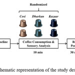 Figure 1. A schematic representation of the study design employed