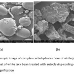 Figure 1. Microscopic image of complex carbohydrates flour of white jack bean (a) compared to that of white jack bean treated with autoclaving-cooling cycles of 3 times (b) on 500x magnification
