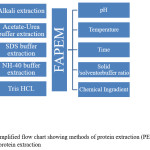 Figure 1 A simplified flow chart showing methods of protein extraction (PEM) and factors affecting on protein extraction