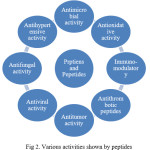 Fig 2. Various activities shown by peptides