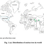Fig. 1 (a): Distribution of mahua tree in world