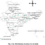 Fig. 1 (b): Distribution of mahua tree in India