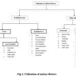 Fig 2: Utilization of mahua flowers