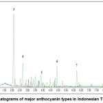 Chromatograms of major anthocyanin types in Indonesian Tamarillo
