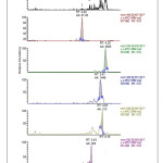 Chromatograms of major carotenoid types in Indonesian Tamarillo