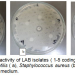 Figure 4: Antagonistic activity of LAB isolates (1-5 coding corresponds to B1-B5) to Bacillus subtilis (a), Staphylococcus aureus (b) and Escherichia coli (c) in the MH agar medium.