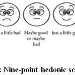 Figure 1: Nine-point hedonic scale