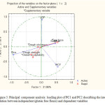 Figure 5: Principal component analysis: loading plot of PC1 and PC2 describing the inter relation between independent (gluten free flours) and dependent variables