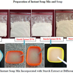 Fig2:  Instant Soup Mix Incorporated with Starch Extract at Different Levels
