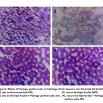 Figure 4: