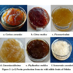 Figure 2: (a-f) Pectin production from six wild edible fruits of Odisha