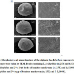 Fig. 2: Morphology and Microstructure of the Alginate Beads Before Exposure to SGI. Exposures were Taken by SEM. Beads Containing L. acidophilus (a; 25X and b; 5,000X), L. acidophilus and 3% Fruit Body of Bamboo Mushroom (c; 25X and d; 5,000X), L. acidophilus and 3% Egg of Bamboo Mushroom (e; 25X and f; 5,000X).