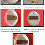 Figure 1: Developed Bars with Incorporation of Chiaseed and Mango, Apple and Guava