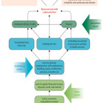 Figure 2: A Conceptual Undernutrition Framework