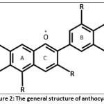 Figure 2: The general Structure of Anthocyanin