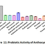 Figure 11: Prebiotic Activity of Anthocyanins