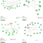 Figure 14: 2D Interaction View of the Ligands Against GLUT 1