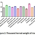 Figure 2: Thousand Kernal Weight of Rice