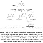 Figure 1: Metabolism of Methylxanthines