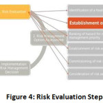 Figure 4: Risk Evaluation Steps100