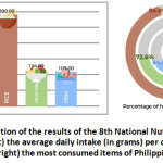 Figure 5: A portion of the results of the 8th National Nutrition Survey showing (left) the average daily intake (in grams) per capita in the Philippines and (right) the most consumed items of Philippine households.45