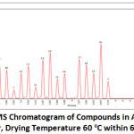 Figure 1: GC-MS Chromatogram of Compounds in Aloe Vera Peel Powder, Drying Temperature 60 oC within 6 Hours.