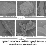 Figure 7: Aloe Vera Peel Micrograph Powder with Magnification 1000 and 5000.
