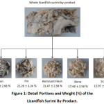 Figure 1: Detail Portions and Weight (%) of the Lizardfish Surimi By-Product.