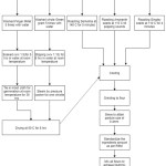 Figure 1: 3-D Flow Diagram Representing Pre-Processing of Nutrimix Ingredients.