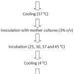 Figure 1: Process Flow Chart of Camel and Cow Milk Fermentation Trials. 