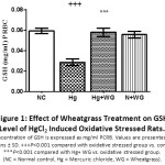 Figure 1: Effect of Wheatgrass Treatment on GSH Level of HgCl2 Induced Oxidative Stressed Rats.