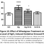 Figure 10: Effect of Wheatgrass Treatment on Urea Level of HgCl2 Induced Oxidative Stressed Rats.