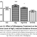 Figure 11: Effect of Wheatgrass Treatment on Serum Creatinine Level of HgCl2 Induced Oxidative Stressed Rats.