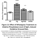 Figure 12: Effect of Wheatgrass Treatment on Alkaline Phosphatase Level of HgCl2 Induced Oxidative Stressed Rats.