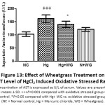 Figure 13: Effect of Wheatgrass Treatment on AST Level of HgCl2 Induced Oxidative Stressed Rats.
