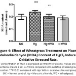 Figure 4: Effect of Wheatgrass Treatment on Plasma Malondialdehyde (MDA) Content of HgCl2 Induced Oxidative Stressed Rats.