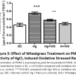 Figure 5: Effect of Wheatgrass Treatment on PMRS Activity of HgCl2 Induced Oxidative Stressed Rats.