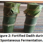 Figure 2: Fortified Dadih during Spontaneous Fermentation.