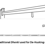 Figure 1: Traditional Dhenki used for De-Husking of Rice Grain.