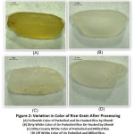 Figure 2: Variation in Color of Rice Grain After Processing.