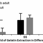 Figure 1: The Yield of Gelatin Extraction in Different Temperature.