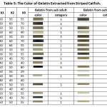 Table 5: The Color of Gelatin Extracted from Striped Catfish.