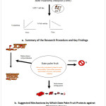 Figure 3: (a) Summary of the Research Procedure and Key Findings and (b) Suggested Mechanisms by Which Date Palm Fruit Protects against Mammary Cancer.