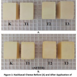 Figure 1: Kashkaval Cheese Before (A) and After Application of Edible Films of 1% CMC with Three Types of 1% Propolis Ethanolic Extracts (B) on Day 0 of the Storage.