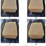 Figure 3: Kashkaval Cheese on the 14th Day of the Storage: Control (A); Edible Films of 1% CMC with 1% Propolis Ethanolic Extracts – T1 (B), T2 (C), and T3 (D) – the Absence of Fungal Growth and Visible Signs of Spoilage in all Samples.