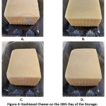 Figure 4: Kashkaval Cheese on the 28th Day of the Storage: Appearance of Fungal Growth in Control (A); Edible Films of 1% CMC with 1% Propolis Ethanolic Extracts – T1 (B), T2 (C), and T3 (D) – the Absence of Fungal Growth and Visible Signs of Spoilage.