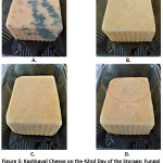 Figure 5: Kashkaval Cheese on the 42nd Day of the Storage: Fungal Growth in Control (A); Edible Films of 1% CMC with 1% Propolis Ethanolic Extracts – T1 (B), T2 (C) – Absence of Fungal Growth, and Visible Signs of Spoilage; the Appearance of Fungal Growth in the Sample with Edible Film T3 (D).