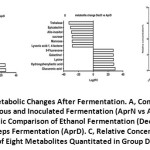 Figure 4: Metabolic Changes After Fermentation.